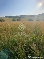 Teren 53 ari în Galații Bistriței -10.000 euro (188/ar) 