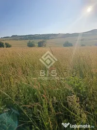 Teren 53 ari în Galații Bistriței -10.000 euro (188/ar) 