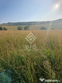 Teren 53 ari în Galații Bistriței -10.000 euro (188/ar)