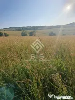 Teren 53 ari în Galații Bistriței -10.000 euro (188/ar)