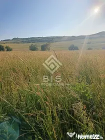 Teren 53 ari în Galații Bistriței -10.000 euro (188/ar)