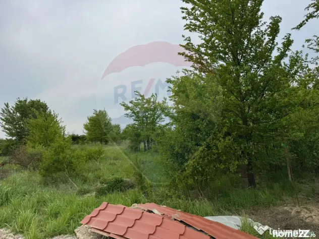 Teren Pentru Casa In Comuna Ciolpani - 0% Comision Cumpar...