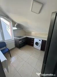 Aparatorii patriei dealul bistrii mansarda