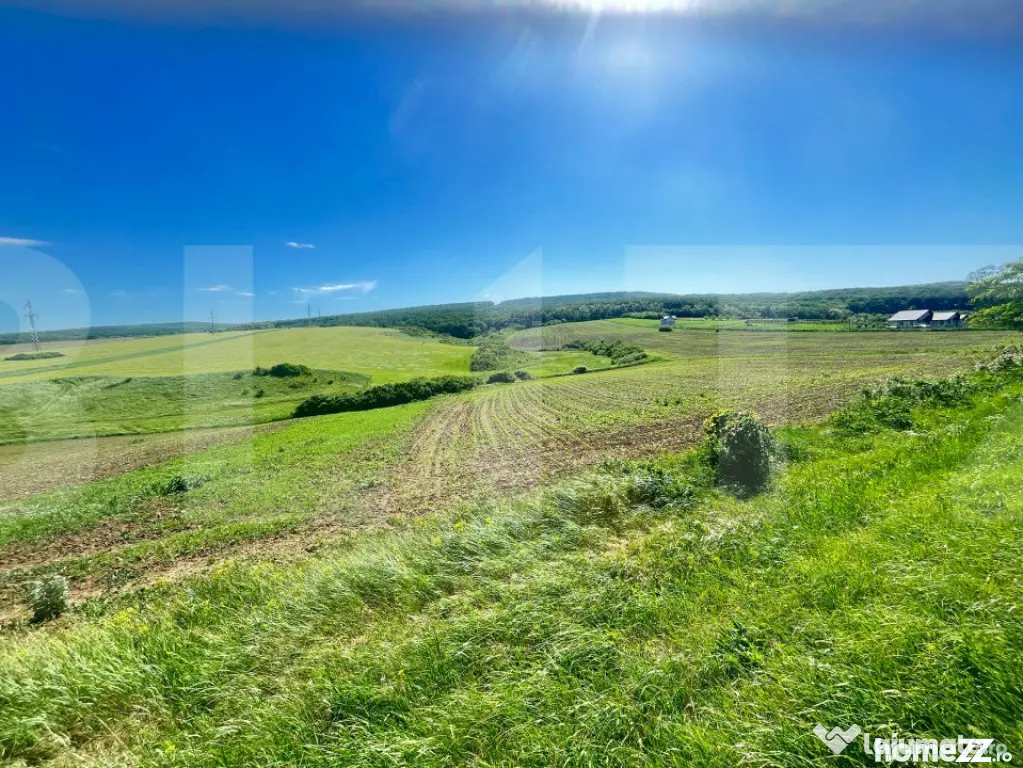 Teren intravilan de vânzare – Stâncești, la stradă