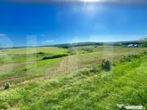 Teren intravilan de vânzare – Stâncești, la stradă