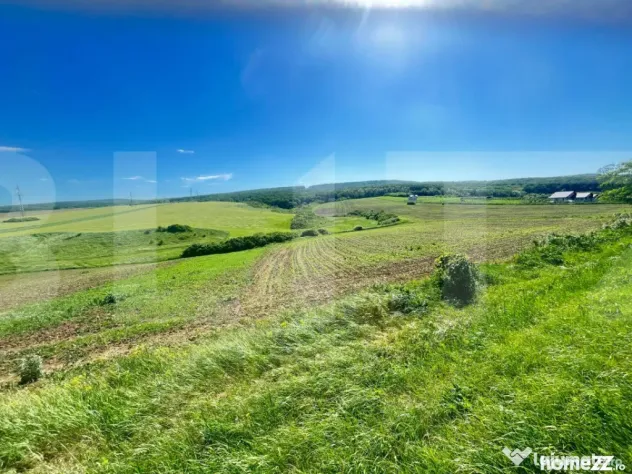 Teren intravilan de vânzare – Stâncești, la stradă