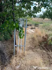 Vand teren 3800 de metri pătrați in Albești, Dolj 