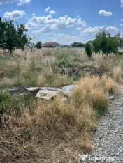 Vand teren 3800 de metri pătrați in Albești, Dolj 