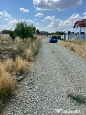 Vand teren 3800 de metri pătrați in Albești, Dolj 