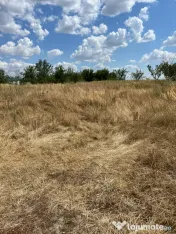 Vand teren 3800 de metri pătrați in Albești, Dolj 