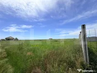 Teren intravilan de vânzare, Coșoveni – 1.500 mp 
