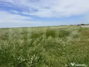 Teren intravilan de vânzare, Coșoveni – 1.500 mp 