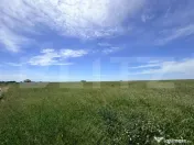 Teren intravilan de vânzare, Coșoveni – 1.500 mp 