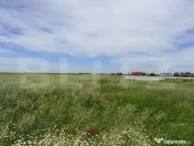 Teren intravilan de vânzare, Coșoveni – 1.500 mp 