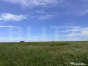 Teren intravilan de vânzare, Coșoveni – 1.500 mp 