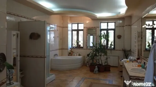 Vila reprezentativa - Cotroceni