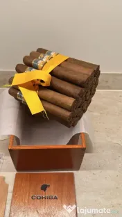 Trabuce Cuba Cohiba Robustos