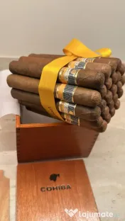 Trabuce Cuba Cohiba Robustos