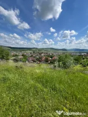 Teren Extravilan de vanzare 3000m - Zona Viisoara 