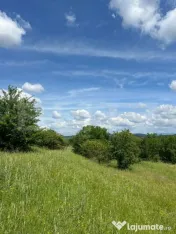 Teren Extravilan de vanzare 3000m - Zona Viisoara 