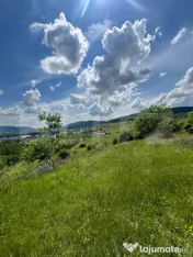 Teren Extravilan de vanzare 3000m - Zona Viisoara 