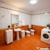 Casa in apreciabil potential,cu terase, curte,gradina echipa
