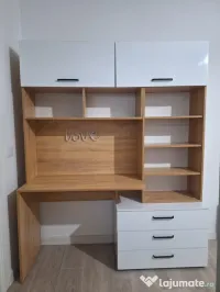 Birou-biblioteca 