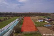 NUCI - BALTA NEAGRA, LOT 7000 MP, LA PADURE! 