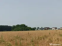 Teren, 8950 mp, langa padure, Intravilan, Magurele, Ilfov, strada Tangentei