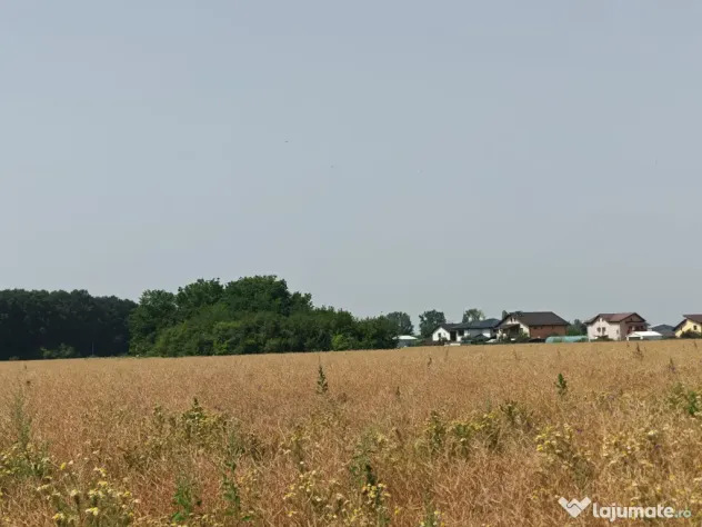 Teren, 8950 mp, langa padure, Intravilan, Magurele, Ilfov, strada Tangentei