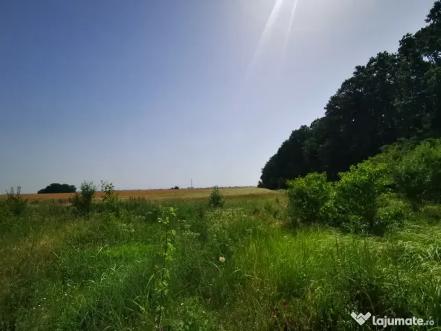 Teren, 8950 mp, langa padure, Intravilan, Magurele, Ilfov, strada Tangentei