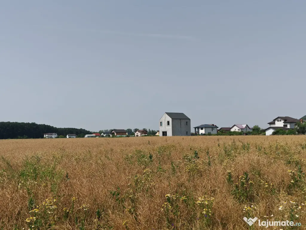 Teren, 8950 mp, langa padure, Intravilan, Magurele, Ilfov, strada Tangentei