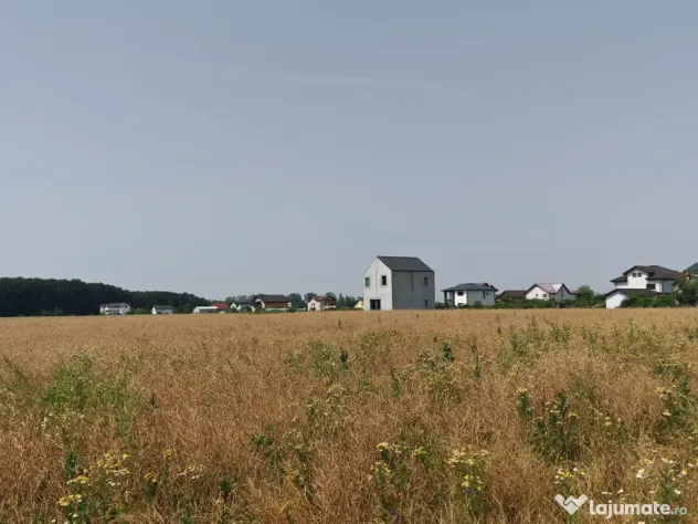 Teren, 8950 mp, langa padure, Intravilan, Magurele, Ilfov, strada Tangentei