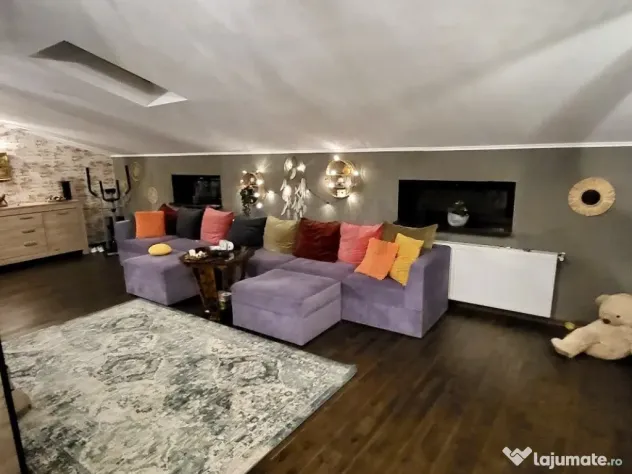 Vila Baba Novac Dristor 2 corpuri