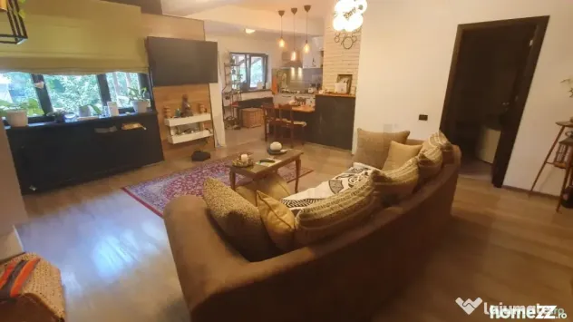Vila Baba Novac Dristor 2 corpuri