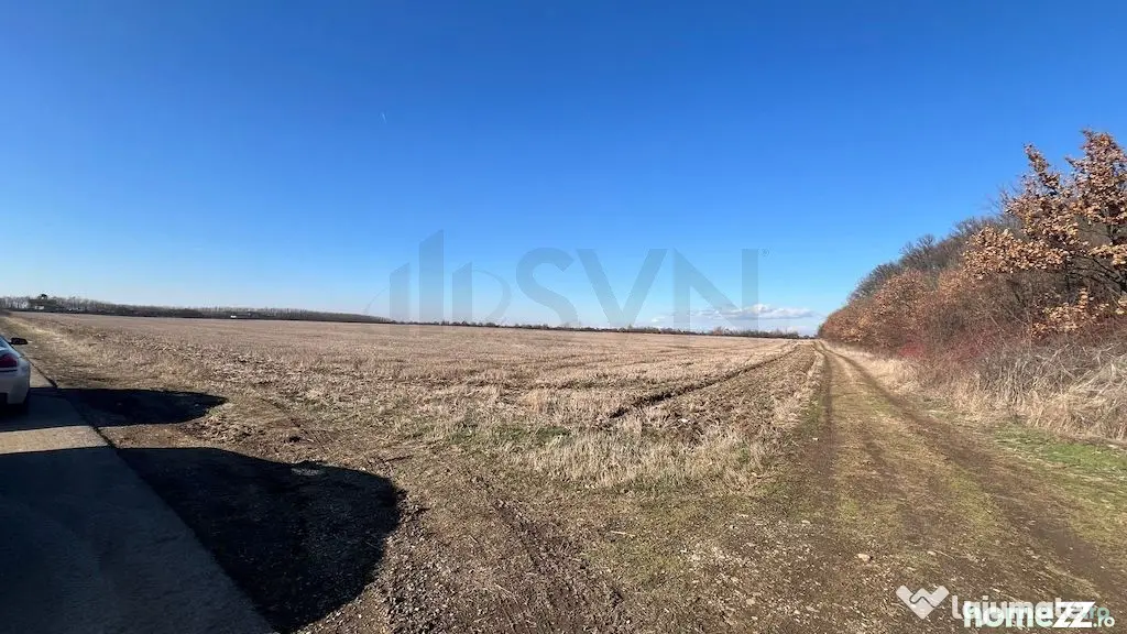 Corbeana - Ostratu 15200 mp langa padure - Corbeanca (Bucuresti-Ilfov)