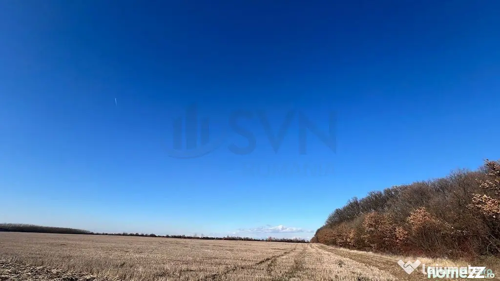 Corbeana - Ostratu 15200 mp langa padure - Corbeanca (Bucuresti-Ilfov)