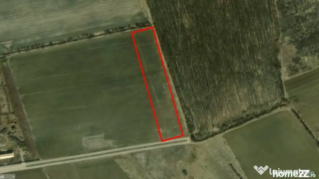 Corbeana - Ostratu 15200 mp langa padure - Corbeanca (Bucuresti-Ilfov)