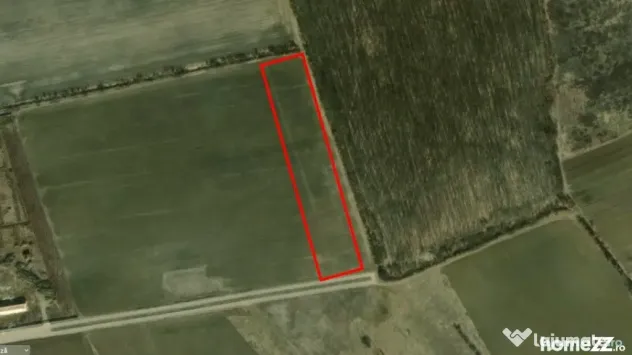 Corbeana - Ostratu 15200 mp langa padure - Corbeanca (Bucuresti-Ilfov)