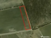 Corbeana - Ostratu 15200 mp langa padure