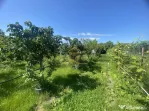 Teren intravilan - de vânzare / 750 mp, Gherăiești, Ba...