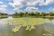 Apartament 3 camere | Snagov Lake Club | Vedere Lac | Ter...