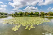 Apartament 3 camere | Snagov Lake Club | Vedere Lac | Ter... 