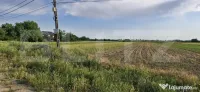 ???? Teren 10.000 mp la DN7 (Găești - Gura Foii) – Ideal