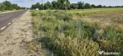 ???? Teren 10.000 mp la DN7 (Găești - Gura Foii) – Ideal 