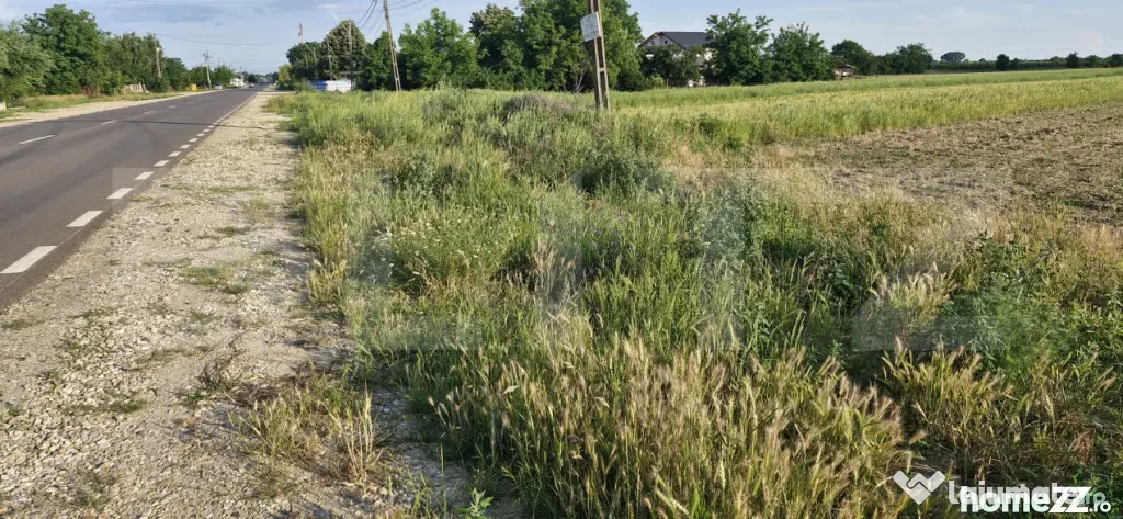 Teren 10.000 mp, potrivit investiție comercial, DN7 Găeșt - Gaesti (Dambovita)