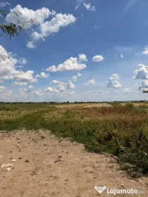 Teren extravilan 3.800 mp cu deschidere la drum