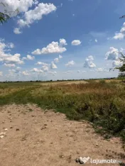 Teren extravilan 3.800 mp cu deschidere la drum