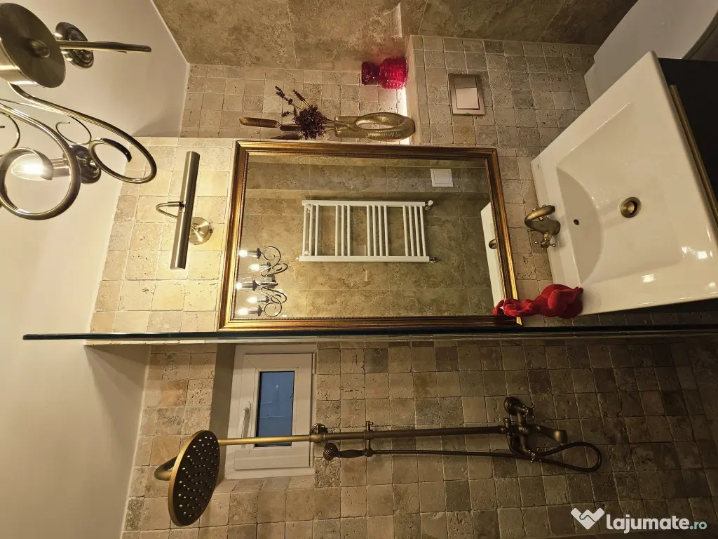 Proprietar 2 camere Piata Victoriei-Dr,Iacob Felix