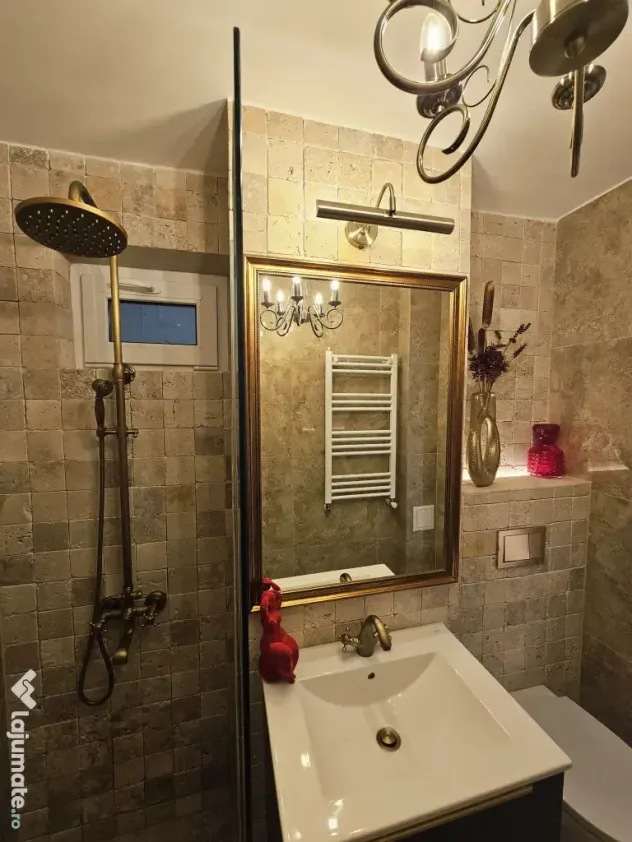 Proprietar 2 camere Piata Victoriei-Dr,Iacob Felix